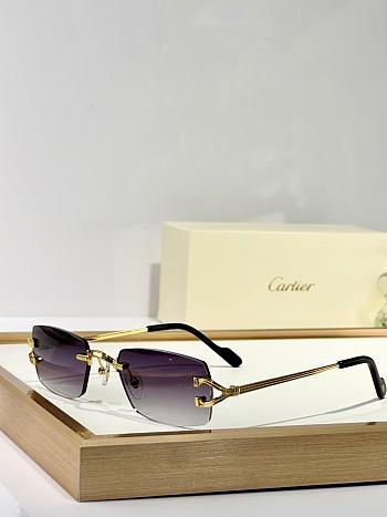 Cartier Sunglasses CT 0550-01