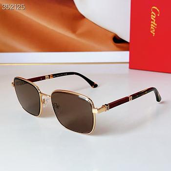 Cartier Sunglasses CT 0491-01
