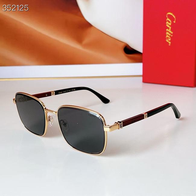 Cartier Sunglasses CT 0491-03 - 1