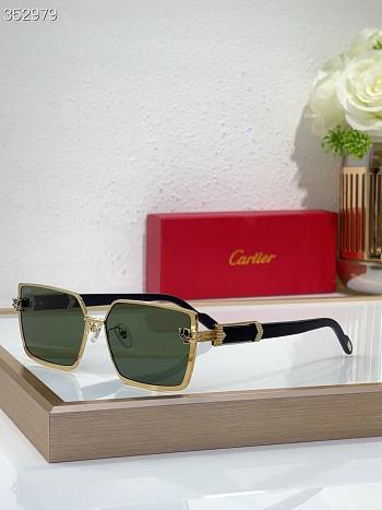 Cartier Glasses CT0886-02
