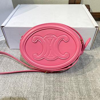Celine Bag Pink 198603 Size 20x15x6cm