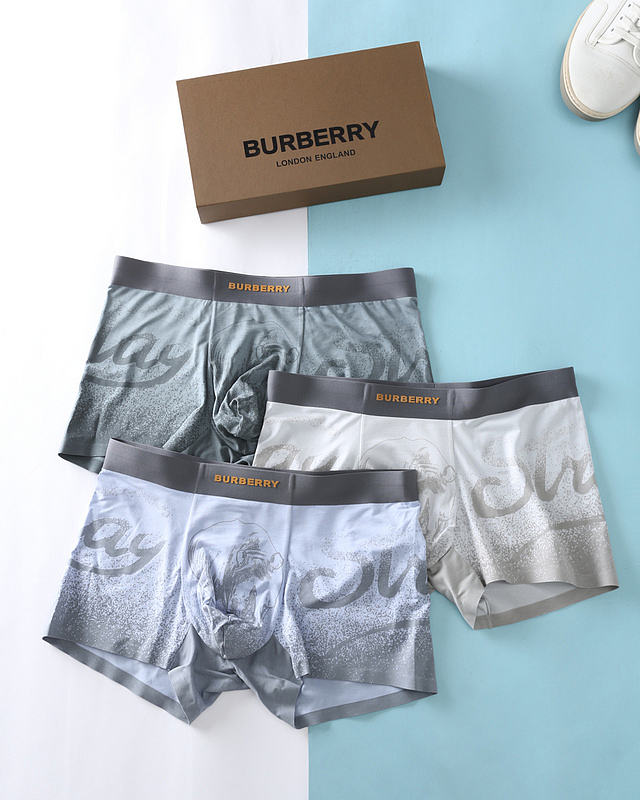 Burberry Men's Underwear 019#804 - 1