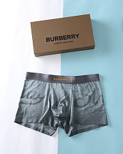 Burberry Men's Underwear 019#804 - 5