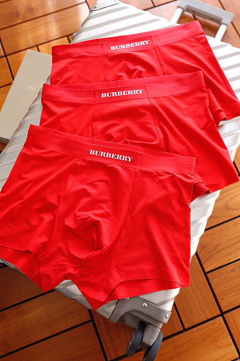 Burberry Men's Underwear 019#805