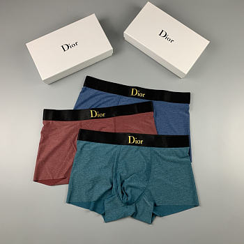 DIOR Men's Underwear 028#806
