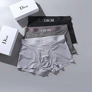 DIOR Men's Underwear 028#808 - 4