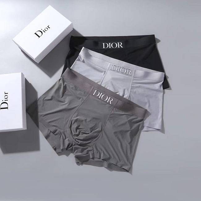 DIOR Men's Underwear 028#808 - 1