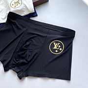 Louis Vuitton Men's Underwear 022#804 - 2