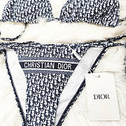 Dior Swimsuit Code SW0478-06 - 2