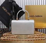 Dolce & Gabbana Silver Grained Bag Size 18x10x5CM - 4