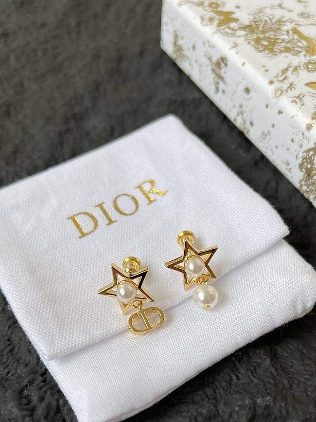 Dior Earrings 0056-02 - 1