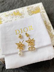 Dior Earrings 0056-02 - 3