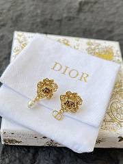 Dior Earrings 0056-03 - 3