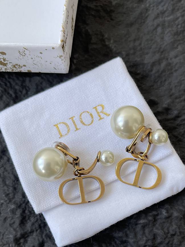 Dior Earrings 0056-04 - 1