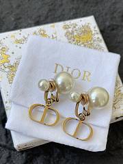 Dior Earrings 0056-04 - 3