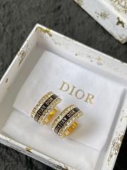 Dior Earrings 0071-02 - 1