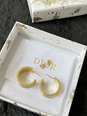 Dior Earrings 0071-02 - 2