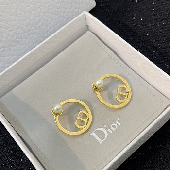 Dior Earrings 0071-03
