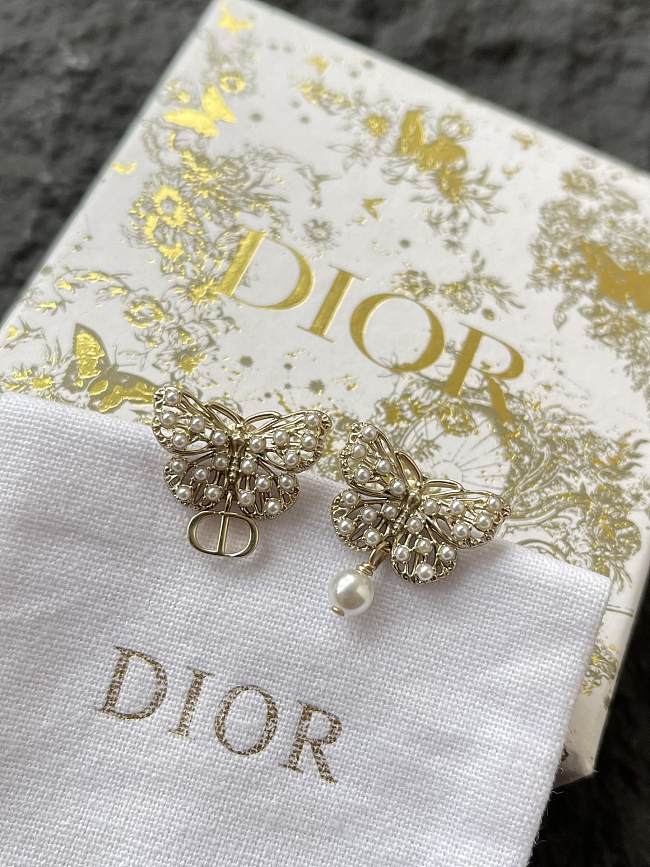 Dior Earrings 0071-04 - 1