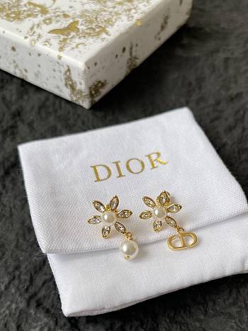 Dior Earrings 0071-06