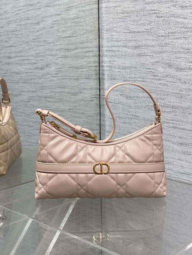 Dior 30 Montaigne Cigale Bag Pink Size 24x14x6CM - 1
