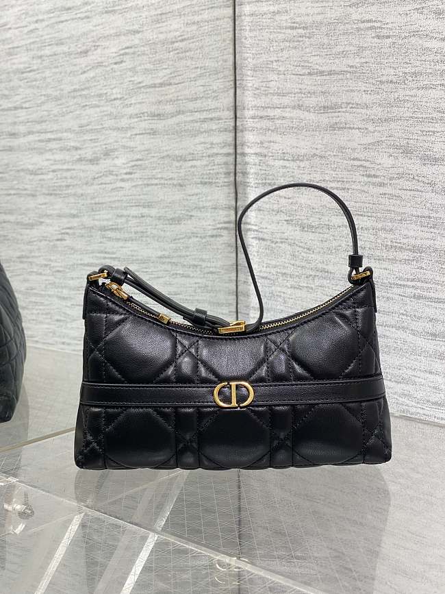 Dior 30 Montaigne Cigale Bag Black Size 24x14x6CM - 1