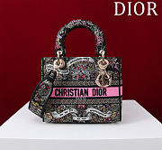 Dior Lady D-Lite Bag in Black Pink Toile De Jouy 36x27x16CM - 5