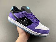 Nike SB Dunk Low Hayley Wilson HJ0513-500 - 2