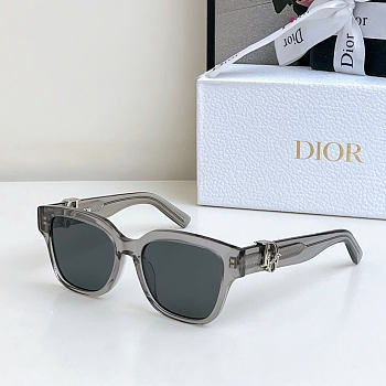 Dior Oblique S1F Sunglasses D5874-02