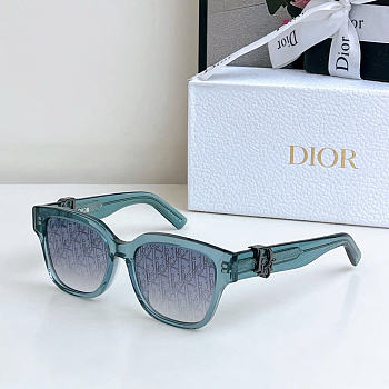 Dior Oblique S1F Sunglasses D5874-03