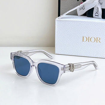 Dior Oblique S1F Sunglasses D5874-04