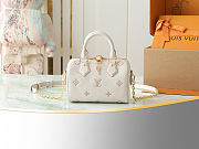 LV Speedy Bandoulière 20 Bag Eden Size 20x13x12CM - 1