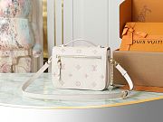 LV Pochette Métis Bag Eden Size 25x19x7CM - 5