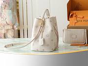 LV NéoNoé MM Bag Eden Size 26x26x18CM - 5