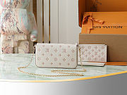 LV Félicie Pochette Bag Eden Size 21x12x3CM - 2