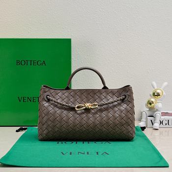 Bottega Veneta Brown Bag BV247 Size 29x18x10CM