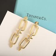 Tiffany & Co Bracelet Earrings 0105-01 - 1