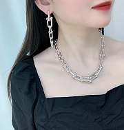 Tiffany & Co Bracelet Earrings 0105-03 - 5