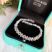 Tiffany & Co Combo (4 items) TC0036 - 4