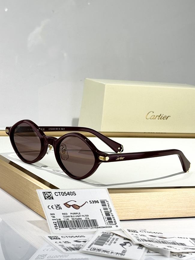 Cartier Glasses 0053 - 1