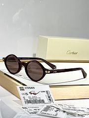 Cartier Glasses 0053 - 5