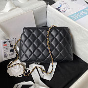 Chanel Bag CLB441 Size 19x13x8CM - 2