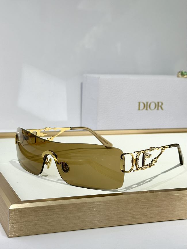 Dior Glasses Code D0276-04 - 1