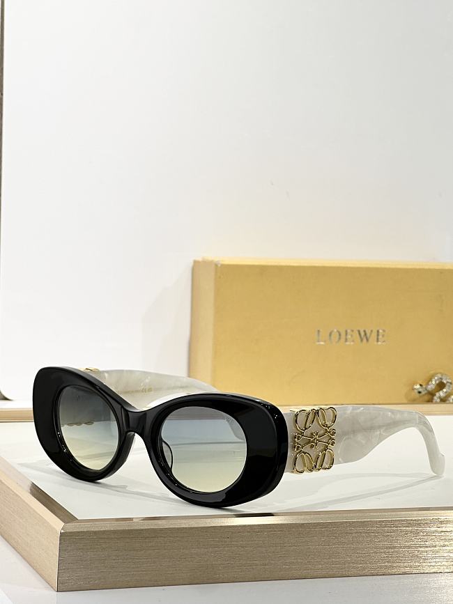 LOEWE Glasses LOE008-04 - 1