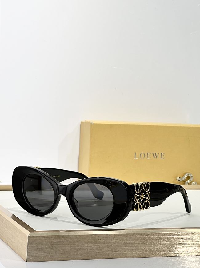 LOEWE Glasses LOE008-05 - 1