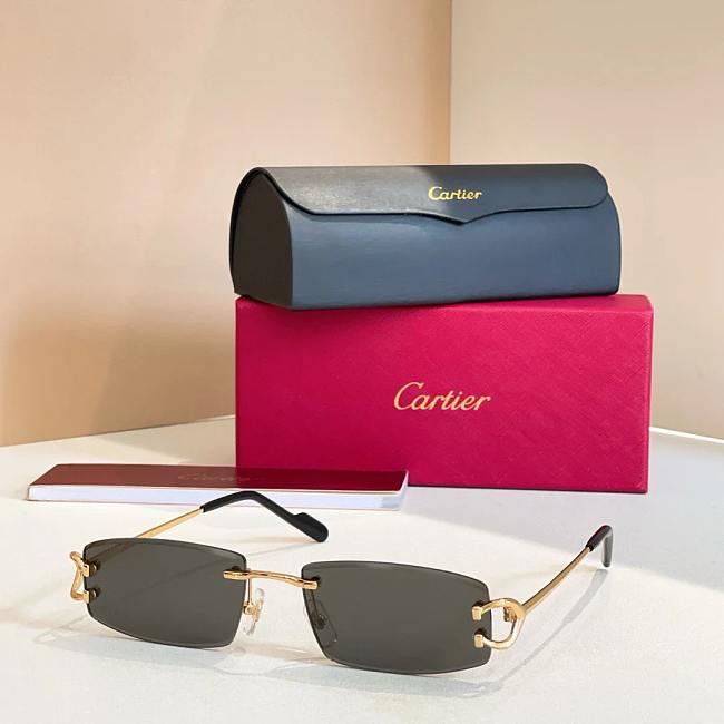 Cartier Sunglasses CT0452-03 - 1