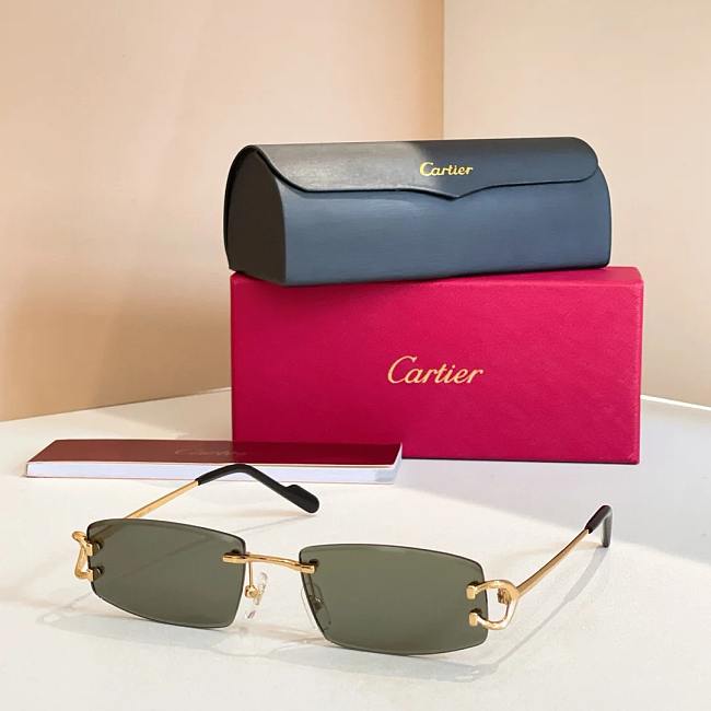 Cartier Sunglasses CT0452-04 - 1