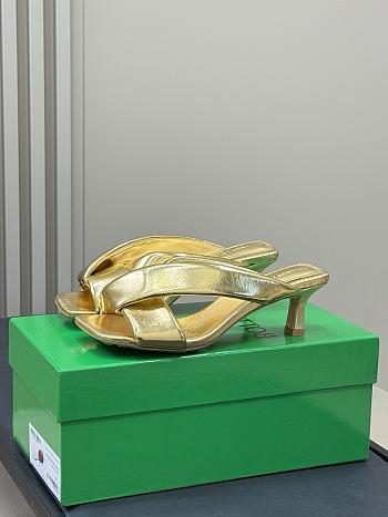 Bottega Veneta High Heel BV6212 (5CM)