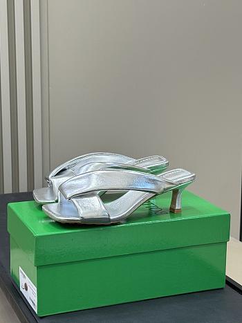 Bottega Veneta High Heel BV6214 (5CM)