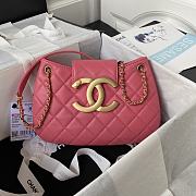 Chanel Handbag C2517 Size 25x5x18cm - 3